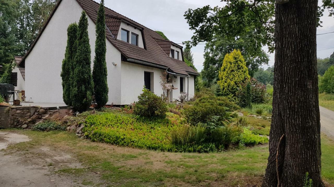 Ferienwohnung "Waldfrieden" Altdobern Zewnętrze zdjęcie