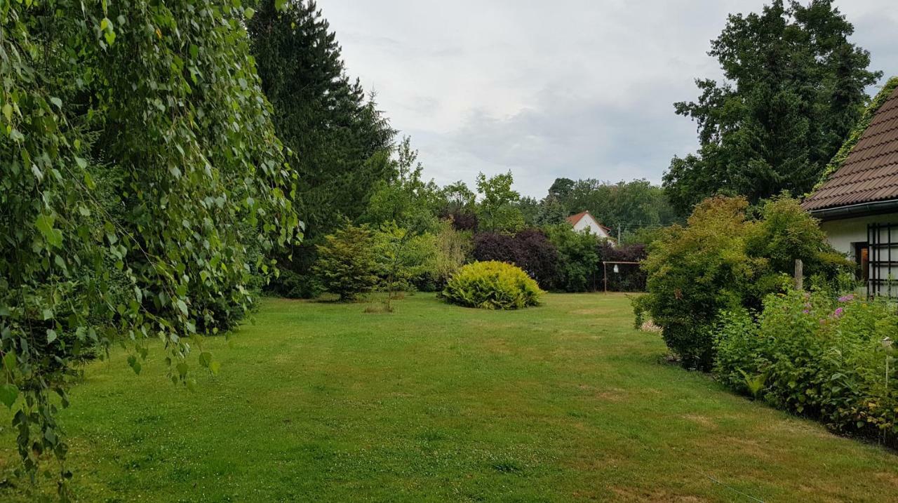 Ferienwohnung "Waldfrieden" Altdobern Zewnętrze zdjęcie
