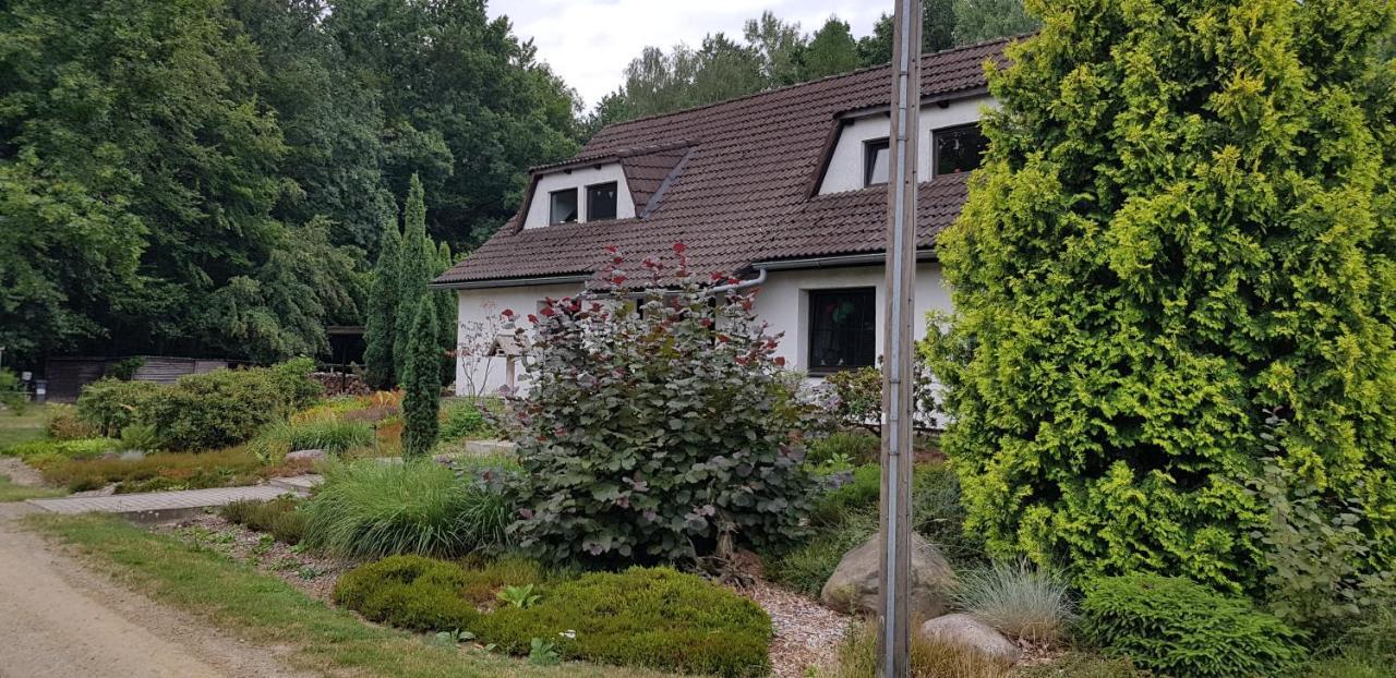 Ferienwohnung "Waldfrieden" Altdobern Zewnętrze zdjęcie